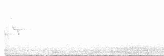 sýkora uhelníček (ssp. ledouci/atlas) - ML603022211