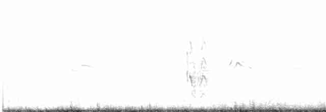 紅燕鷗 - ML603024491