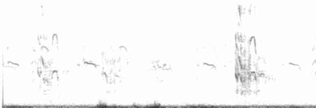 Roseate Tern - ML603025711