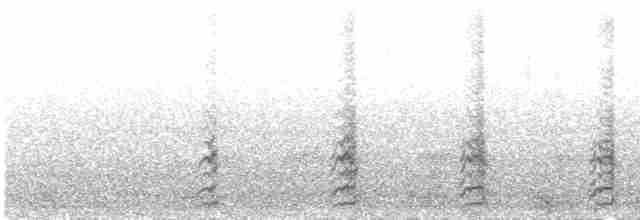 čírka kropenatá - ML603026151