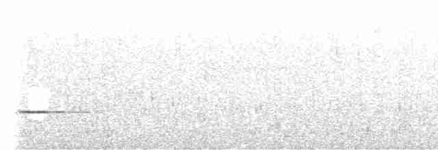 Cerulean Warbler - ML603042271