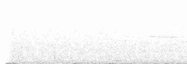 Cerulean Warbler - ML603042281