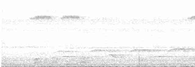 tukan rudozobý - ML603053351