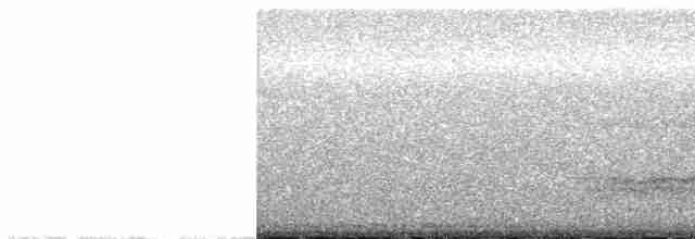 sova pálená [skupina tuidara] - ML603054801
