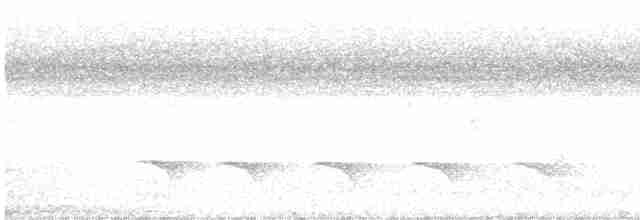 svartkronemaurfugl - ML603062441