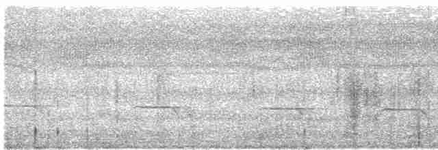 Кустарниковая кукушка [группа variolosus] - ML603093381