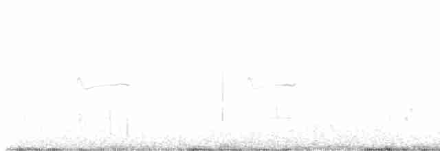 Прерийный кроншнеп - ML603102411
