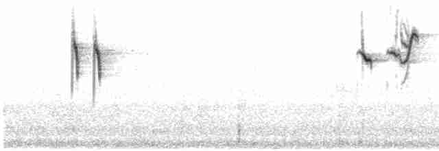 Gray Wagtail - ML603119861