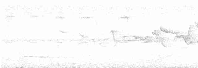 Красноклювая лесная куропатка - ML603132131