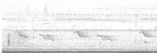 Sumatran Babbler - ML603134841