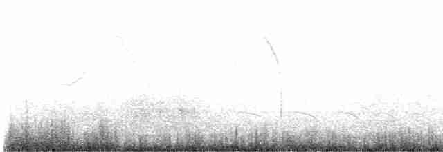 Pipit de Hellmayr - ML603152371