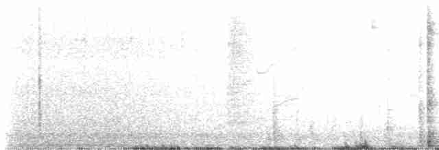 Lesser Grass-Finch - ML603153221