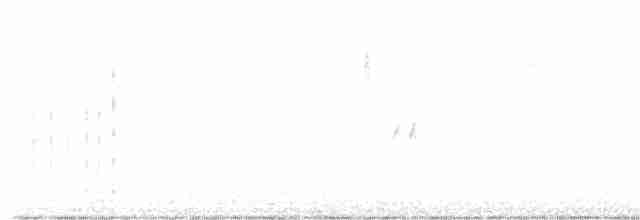 Grauscheitel-Riedschlüpfer - ML603154651