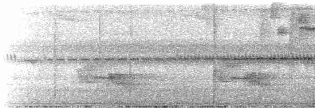 Gray-mantled Wren - ML603173041
