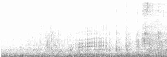 Magellanic Cormorant - ML603224921