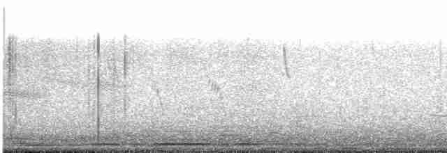 Long-tailed Meadowlark - ML603230681