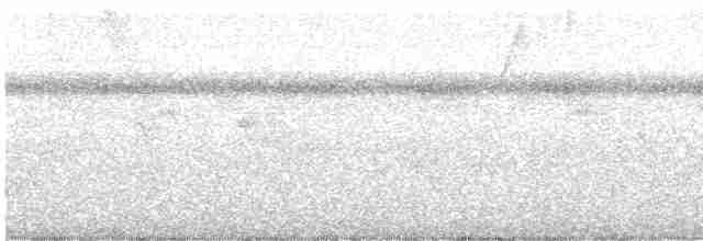 Карликовая земляная горлица - ML603246381