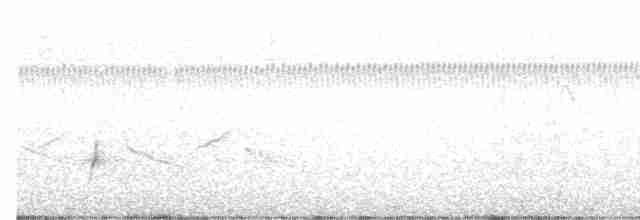 Brown-crested Flycatcher - ML603271781