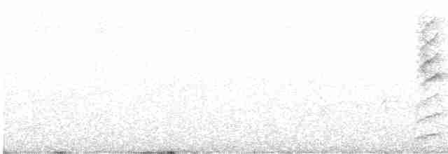 White-plumed Honeyeater - ML603275061