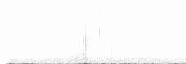 káně rudochvostá (ssp. calurus/alascensis) - ML603275181