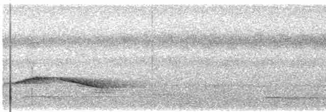 Пятнистогрудая тимелия-говорушка - ML603302101