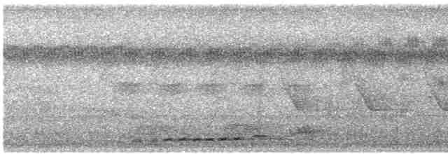 Желтоклювый саблеклюв - ML603302181