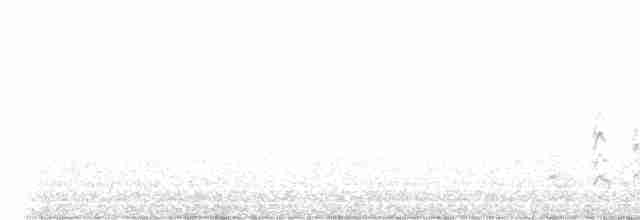 白腰叉尾海燕 - ML603305111