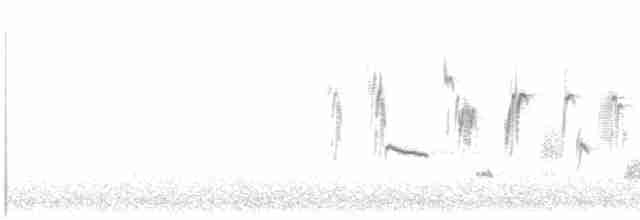 Pipit antarctique - ML603318671