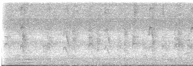 אנפית בקר מערבית - ML603329881