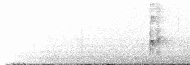 Дзьоган смугастокрилий - ML603361211