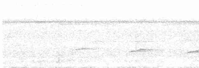 Кустарниковая кукушка (sepulcralis/everetti) - ML603378511
