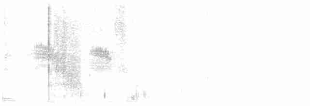 Kuzeyli Sert Kanatlı Kırlangıç - ML603404661