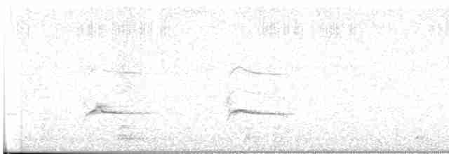káně bělochvostá (ssp. cirtensis) - ML603429391