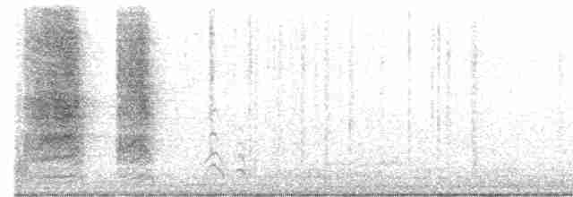 カナダカケス（obscurus／griseus） - ML603460611