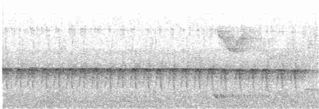 Gray-crowned Crocias - ML60347931