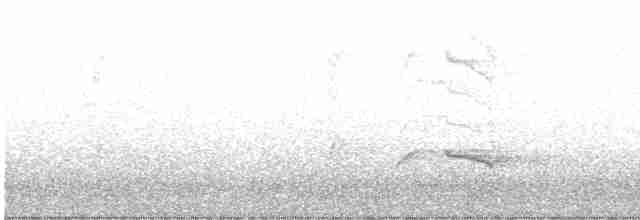 カナダカケス（capitalis／bicolor） - ML603502451