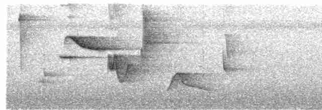 Turuncu Gagalı Bülbül Ardıcı - ML603569241