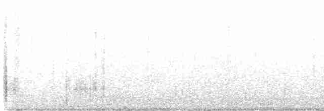 Common Chaffinch - ML603571241