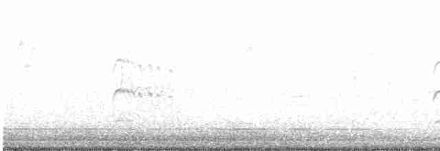kamenáček černohlavý - ML603590211