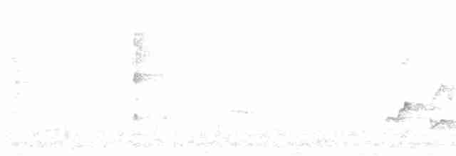 Черноголовый толстонос - ML603643151