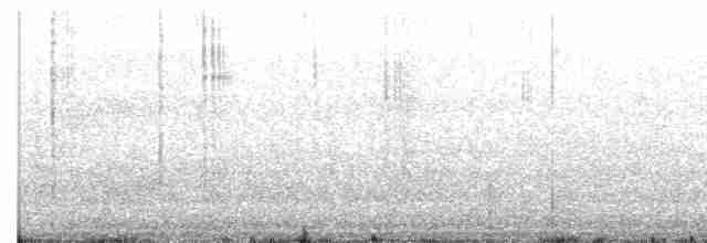 Чирянка жовтодзьоба - ML603648091