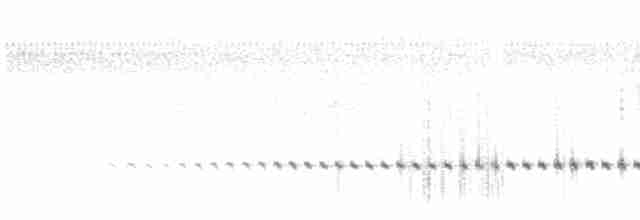 Benekli Notura Tinamusu - ML603655051