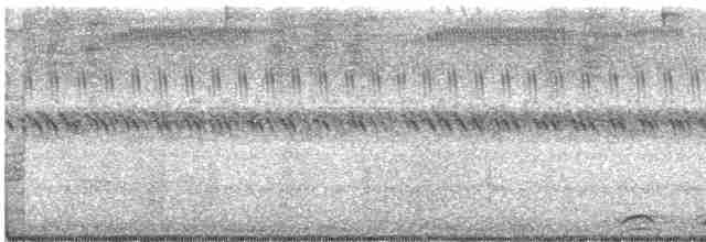 Сова-голконіг плямиста - ML603669841