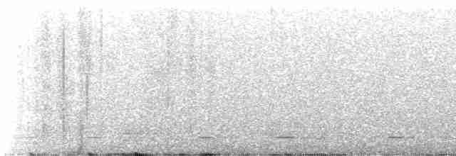 Chevêchette naine (gnoma) - ML603699161