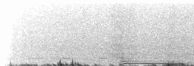 Сичик-горобець гірський (підвид gnoma) - ML603699171