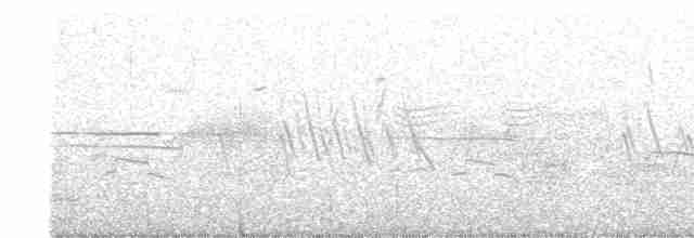 "Шишкар ялиновий (Western Hemlock, або тип 3)" - ML603714071