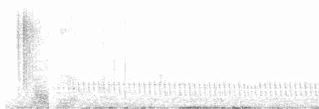 Eurasian Nightjar - ML603746141