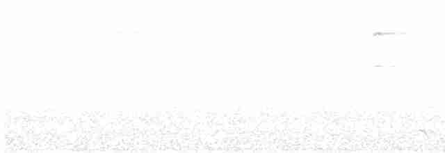 Blue-crowned Trogon - ML603754871