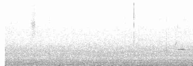 Чирянка жовтодзьоба - ML603857021