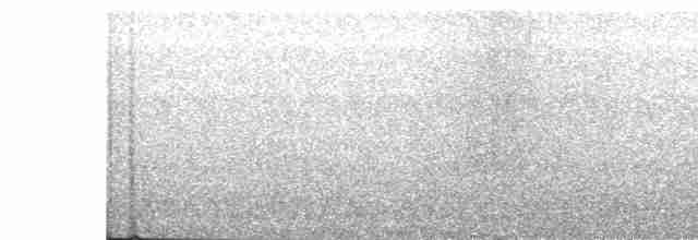Kara Kanatlı Yer Kumrusu - ML603871421